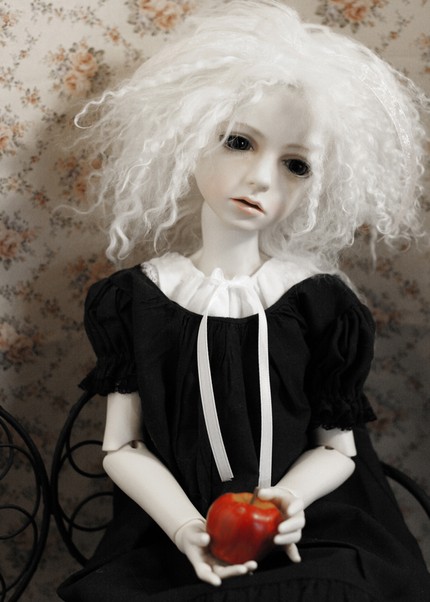 Daisy With Apple